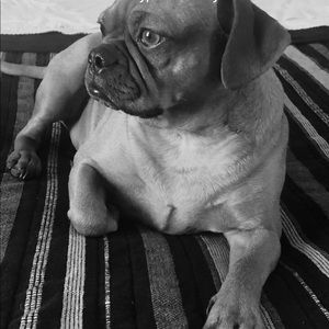 Meet your Posher, Lisa